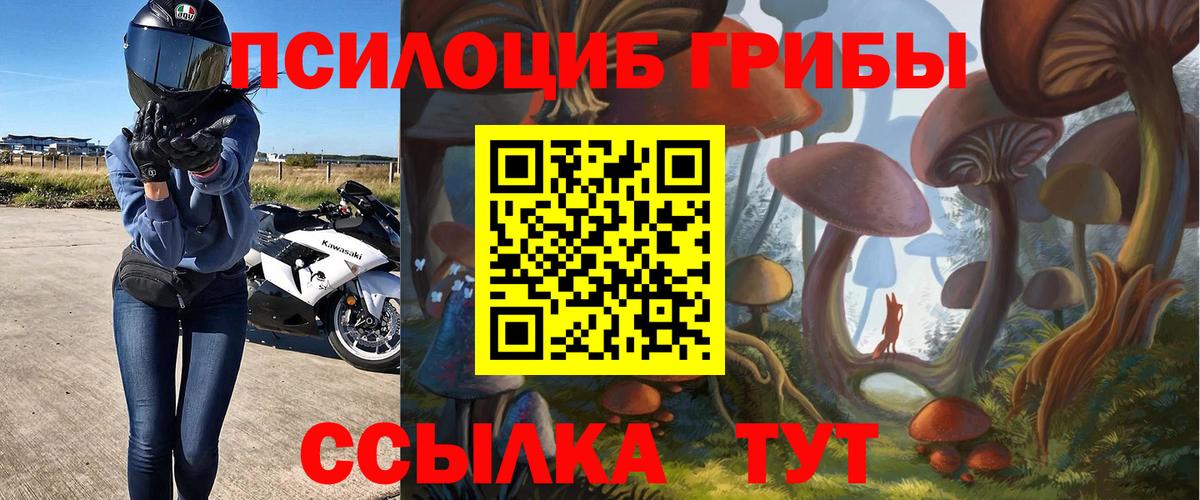 Галлюциногенные грибы MAGIC MUSHROOMS Волхов